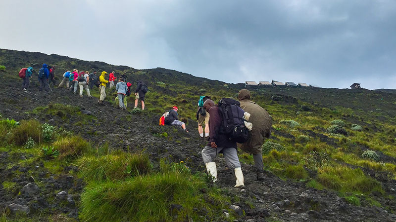 Volcano Hiking Rwanda  Visit Volcanoes National Park